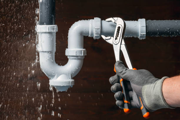 Professional Plumbing technician working in Hemlock, IN